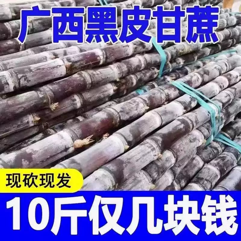 正宗广西黑皮甘蔗10斤新鲜农家自种精选中段脆甜整箱果蔗杆蔗包邮