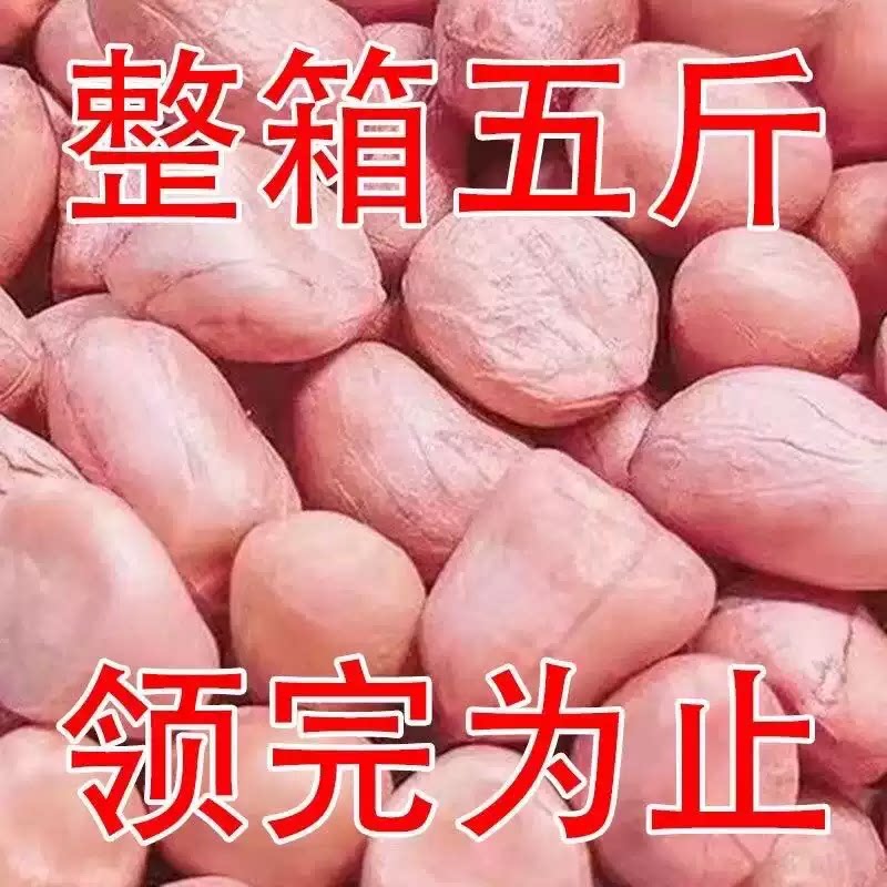 特价精选新鲜无壳大颗粒花生米粉皮大颗粒白沙生花生米商用新货