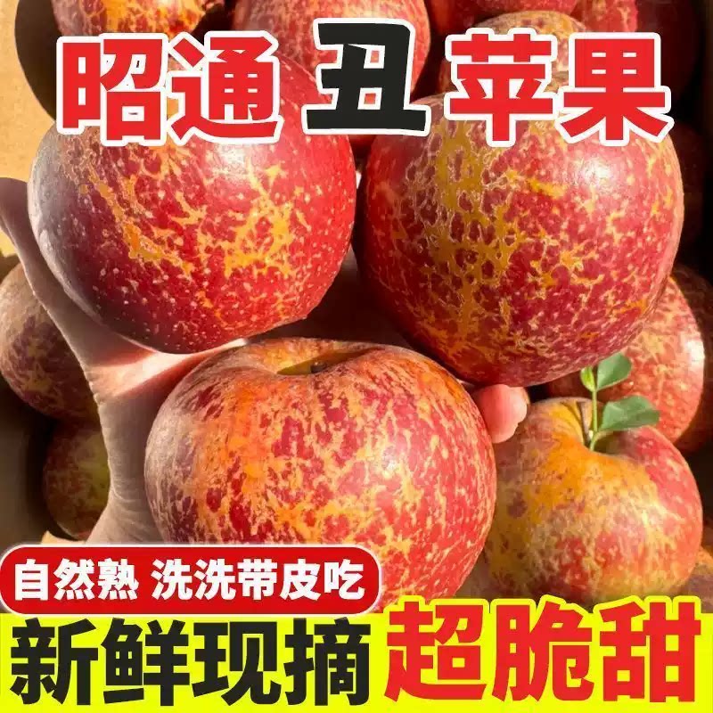 2026年云南昭通丑苹果红露新鲜昭通市冰糖心富士苹果水果当季整箱