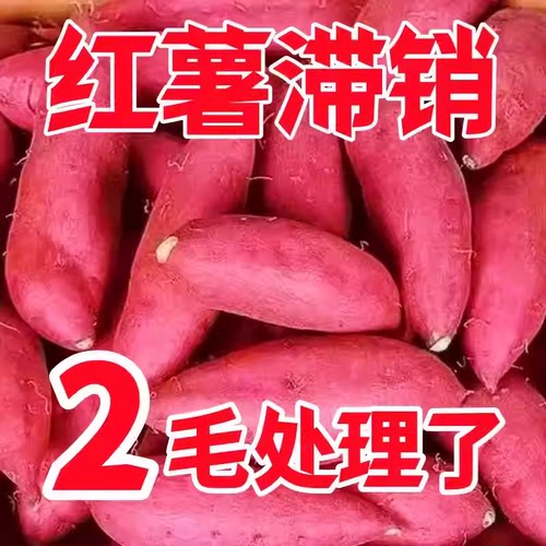 山东烟薯25号糖心蜜薯红薯新鲜农家沙地自种山芋番薯烤地瓜