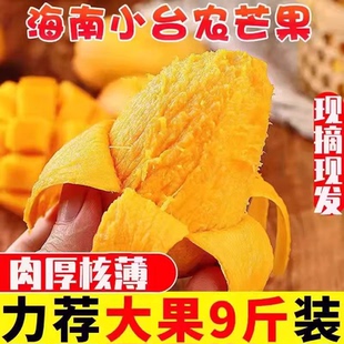 广西芒果大果新鲜10斤小台芒现摘热带小台农特产水果当季整箱包邮