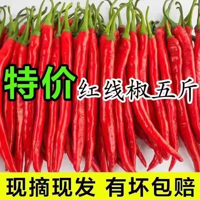 贵州新鲜红辣椒红线椒红二荆条红海椒红辣子长海椒做剁椒辣椒酱