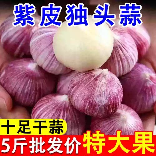 云南紫皮独头蒜2026新鲜农家圆头辣红珍珠5斤大蒜干当季蔬菜批发3