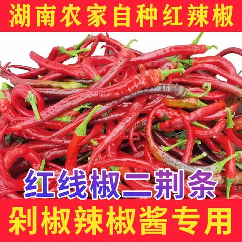 新鲜红椒现摘现发红线椒二荆条红辣椒中辣农家自种5斤3斤剁椒泡酱