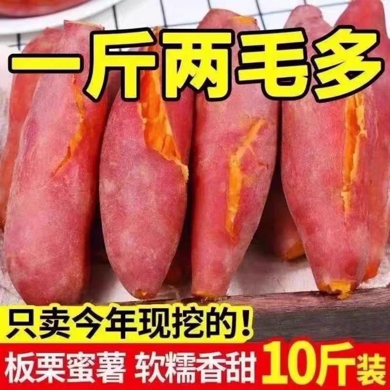 板栗蜜薯新鲜红薯沙地糖心地瓜非山东烟薯番薯25号烤红薯专用10斤