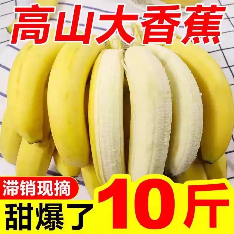 高山甜香蕉10斤新鲜水果当季现摘大芭蕉小米蕉甜香蕉整箱非自然熟
