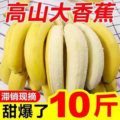 高山甜香蕉10斤新鲜水果当季现摘大芭蕉小米蕉甜香蕉整箱非自然熟