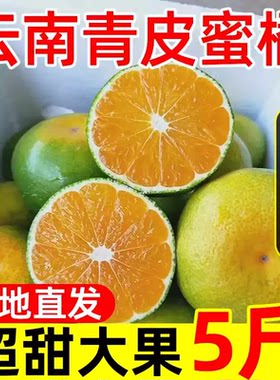 现摘青皮无核蜜橘桔子应季当季孕妇水果粗薄皮橘子整箱酸甜苦橘子