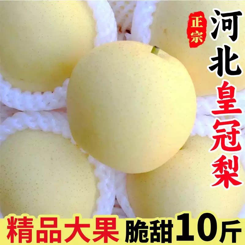 河北赵县皇冠梨子5斤 10斤正宗整箱新鲜当季水果现摘大果速发包邮
