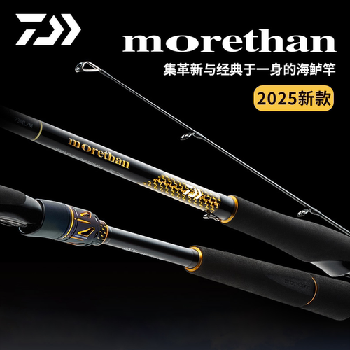 DAIWA达亿瓦 25新款MORETHAN.J 猫赞海鲈竿岸抛远投杆路亚翘嘴
