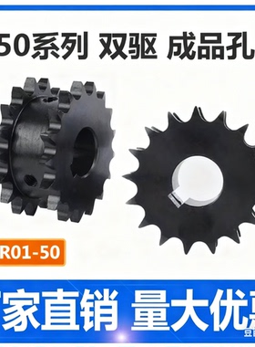 VLR11-50假双排链轮5分双驱链轮挂两根10A单排链条厚度40非标定制