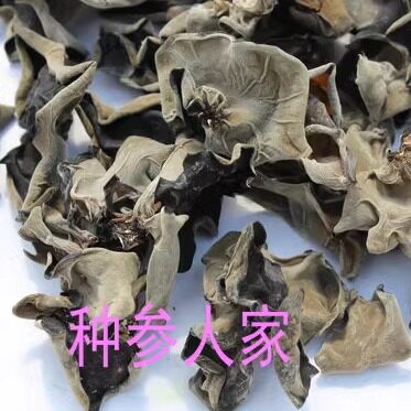 长白山黑木耳包邮椴树好吃的