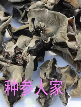 包邮 长白山 黑木耳 椴树木耳 秋耳 怎么吃都好吃的木耳