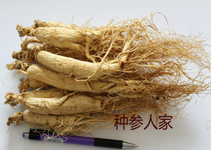 6年生晒参 白参 人参原皮无硫磺 半斤只要138元 14-15颗左右半斤