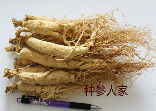6年原皮无硫磺半斤颗左右生晒参