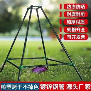 支撑三固定器杆定架塑料扣脚型支撑架捆扎P稳定杆支撑器花杆。