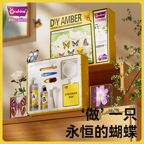 Onshie昆虫标本琥珀手工dy