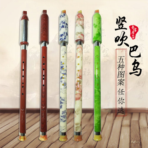 奇宝居 巴乌 竖吹 乐器f调G调 初学入门