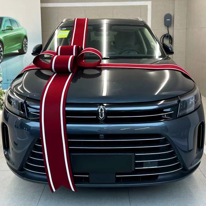 交车仪式布置蝴蝶结大红花可定制