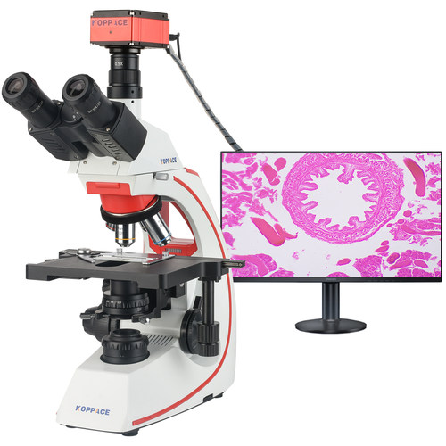 155X-3870X高清电子生物显微镜