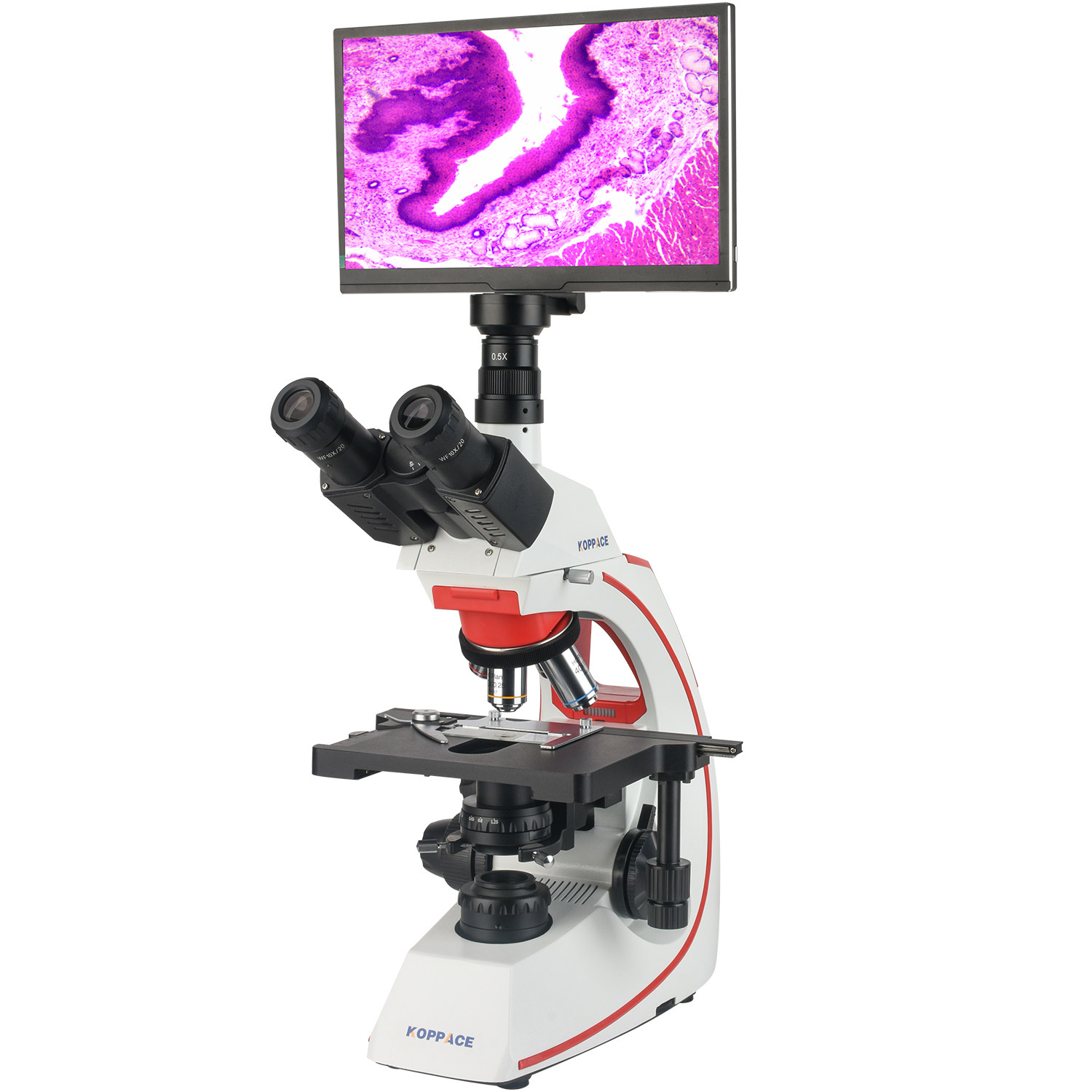 包邮 40X-1600X全消色差电子生物显微镜11.6寸高清显示器可接电视