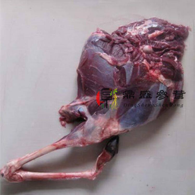 “”吉林梅花鹿” 鹿腿 整只鹿腿  新鲜速冻鹿腿梅花鹿肉整块鹿肉