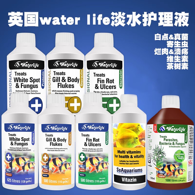 水霉烂肉Waterlife白点真菌除虫