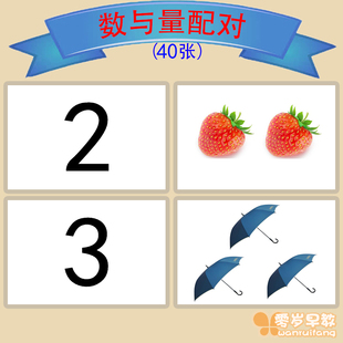 数与量配对语言发育迟缓训练教具自闭症孤独症康复认知卡益智玩具