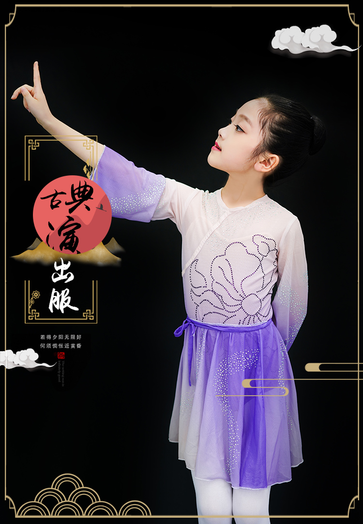 渐变古典舞练功服舞者舞衣