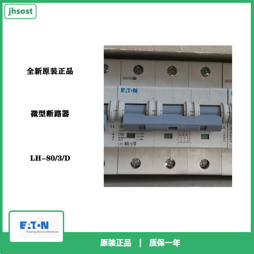 LH-80/3/D微型断路器3PD80A