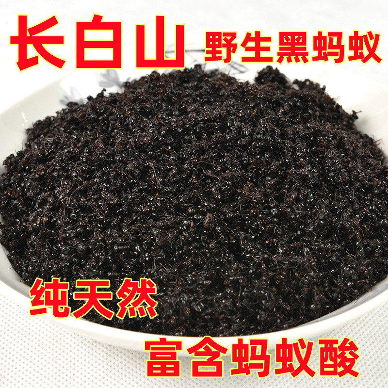 长白山野生黑蚂蚁500克泡酒药材食用蚂蚁大蚂蚁东北特产