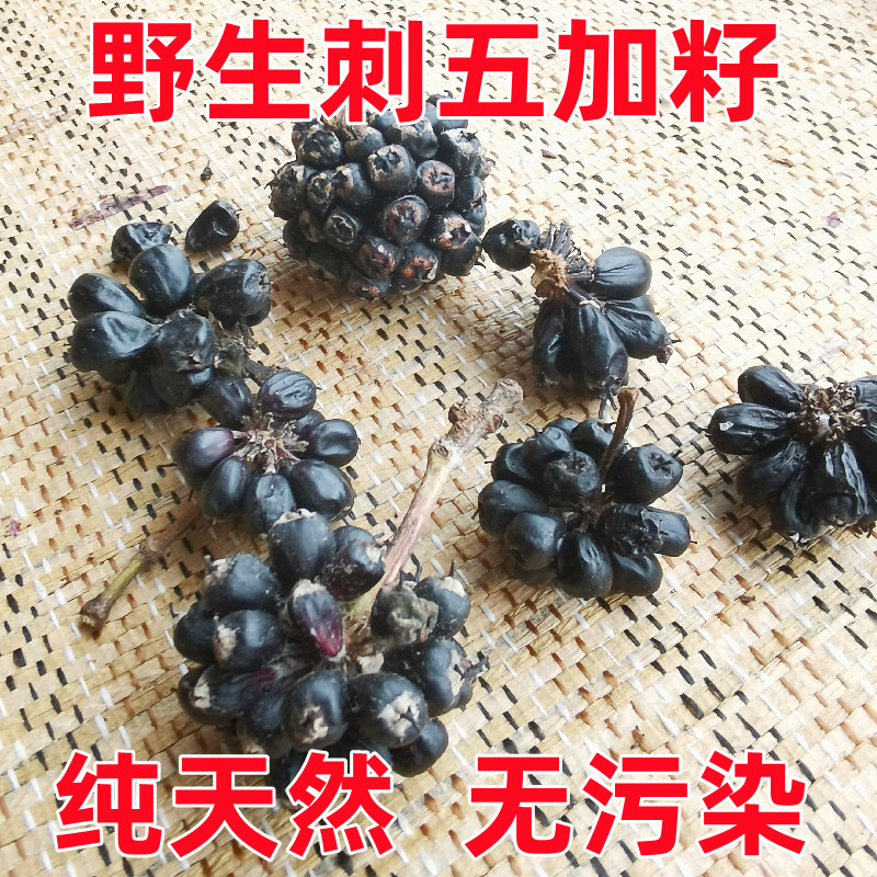 长白山野生刺五加籽泡茶泡酒刺五加果干果茶刺五加子成熟果晒干
