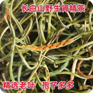 肾精茶野生长白山化石草秋天老叶肾精草嗷嗷叫茶黄金草肾经草石韦