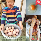 50枚九华山山林放养土鸡蛋农家本鸡蛋草鸡蛋当天新鲜蛋
