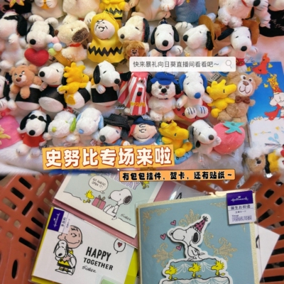 直播链接 日本史努比snoopy查理布朗小鸟周边 确定好再拍
