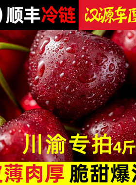 【川渝专拍】新鲜水果四川雅安汉源大车厘子汶川大樱桃孕妇水果