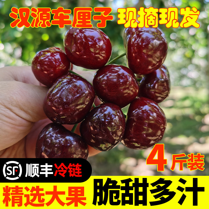 【4斤专拍】四川雅安汉源汶川大车厘子/樱桃
