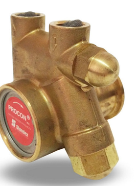 供应水泵PROCON 111A100F11AA250国原装进口 机床冷却泵 叶片泵