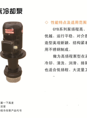 GYB40-300高扬程机床泵