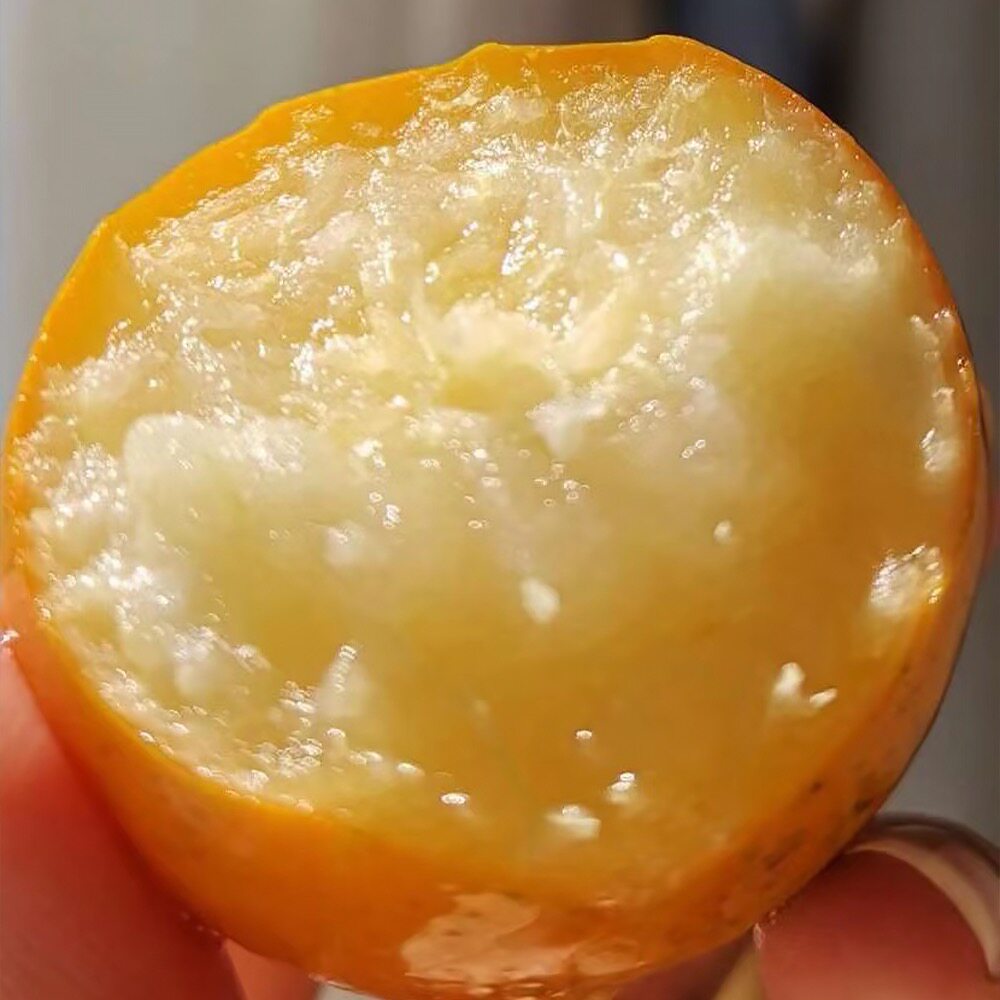 广西融安脆蜜金柑金橘子新鲜滑皮金桔水果大果1箱包邮江浙沪皖