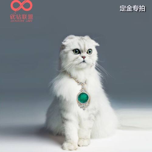 超值定制钻石BlueNile代购结婚