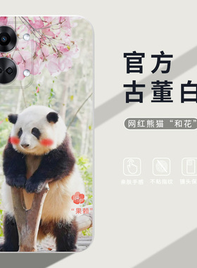 大熊猫花花萌兰适用一加Ace3v手机壳1+AcePro全包防摔一加Ace竞速版保护套1+ace和花果赖OnePlusACE2v硅胶软