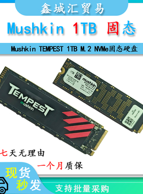 Mushkin/美商 TEMPEST 1TB 固态硬盘 Gen3x4