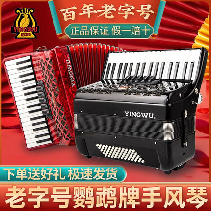鹦鹉牌(YINGWU)手风琴60/120贝斯成人儿童初学考级乐器三四排簧