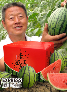庞各庄西瓜头茬小吊西瓜】大兴庞各庄老王西瓜水果自然成熟