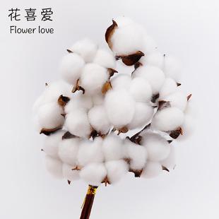 材料 饰资材花艺包装 花喜爱 天然木棉花干花手工diy插花装