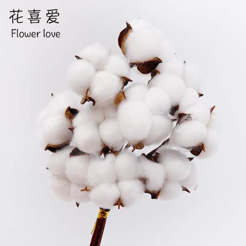 永生花木棉花天然棉花束