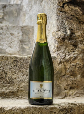 老牌香槟 小沙龙 法国德拉梦天然干型香槟 Delamotte Brut NV