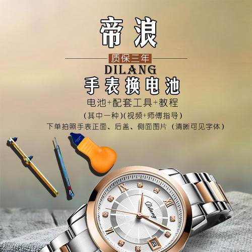 适用于帝浪dilang男女士石英手表电池原装进口瑞士纽扣电子电磁