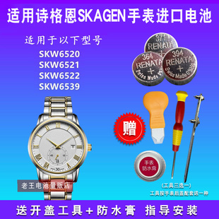 适用于SKAGEN诗格恩 SKW6520 SKW6521 SKW6522 SKW6539 手表电池